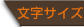 文字サイズ