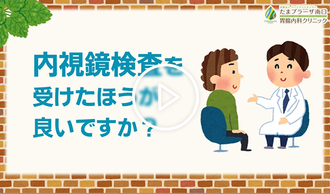 動画を再生
