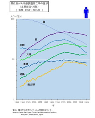 部位別がん年齢調整死亡率の推移の図