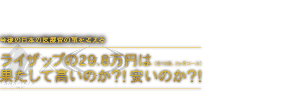 ライザップに2ヶ月間通い、病気にならない生活習慣を獲得するための運動習慣・食事習慣を習得していきますが、肥満であるが故にかかる医療費などをこの29.8万円と比較していきます。