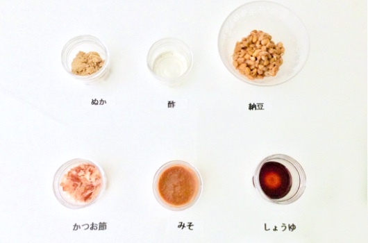 発酵食品イメージ