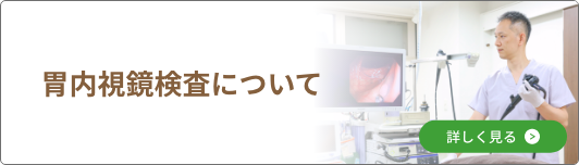 胃内視鏡検査について