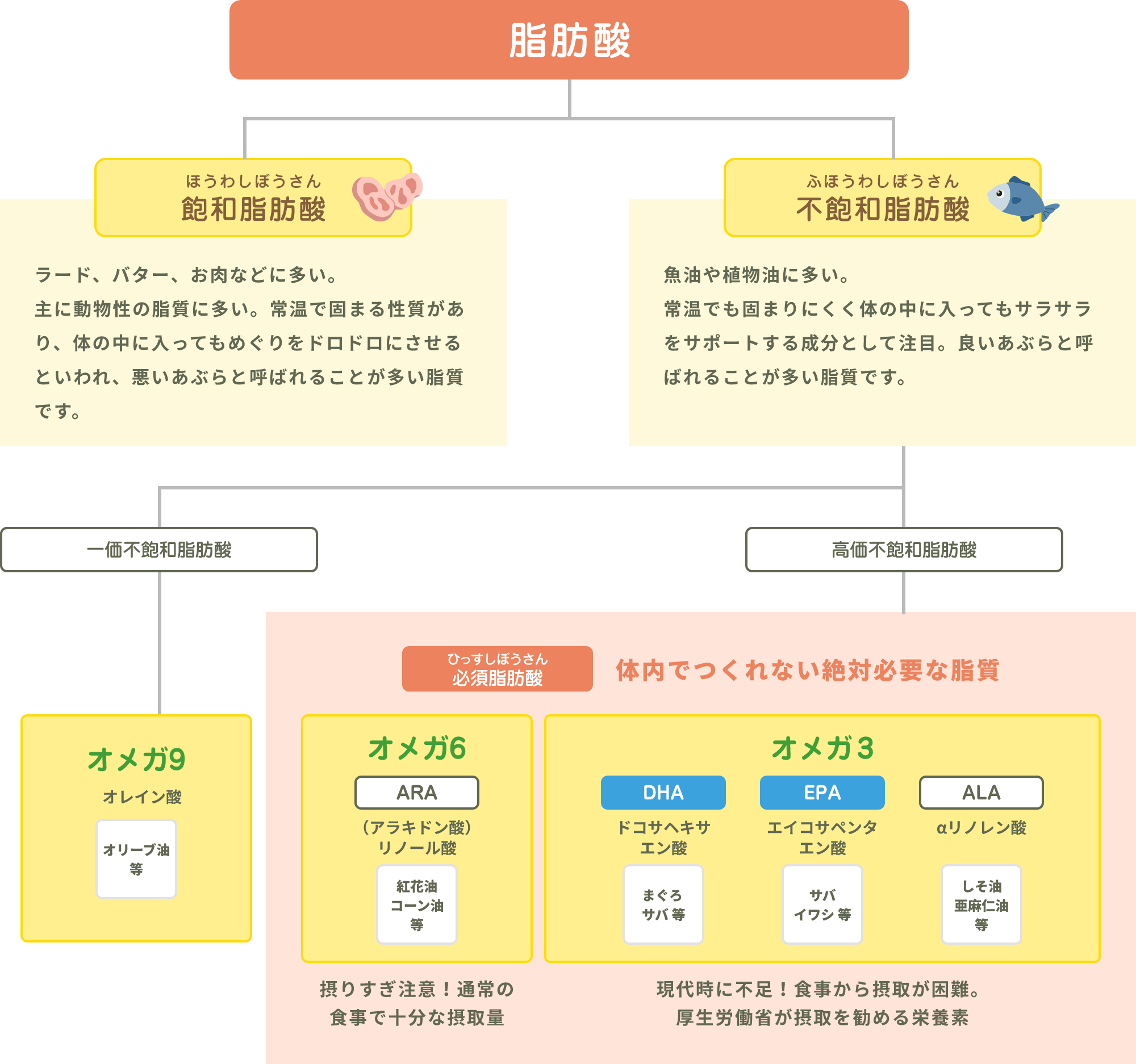 脂肪酸について