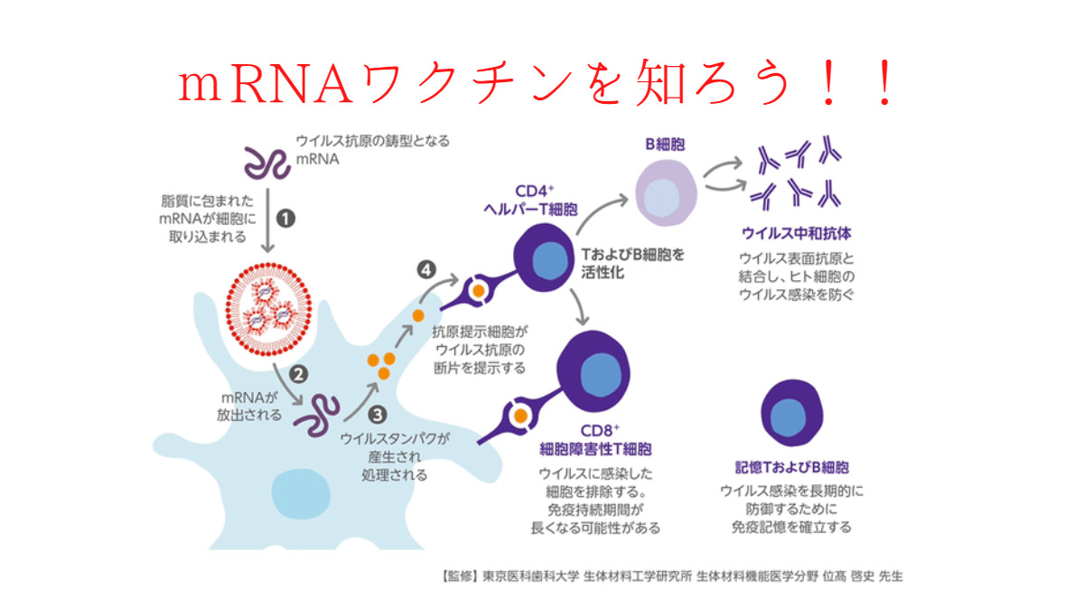 コロナワクチンの効果あり！