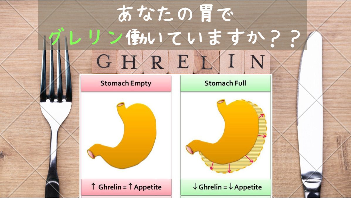 食欲ホルモンの「グレリン」知ってます？？