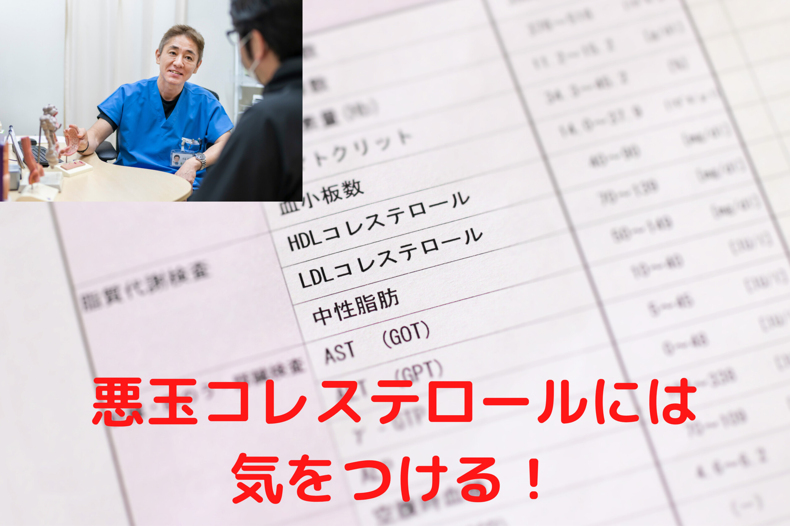 悪玉コレステロール（LDL）と善玉コレステロール（HDL）、中性脂肪の違い