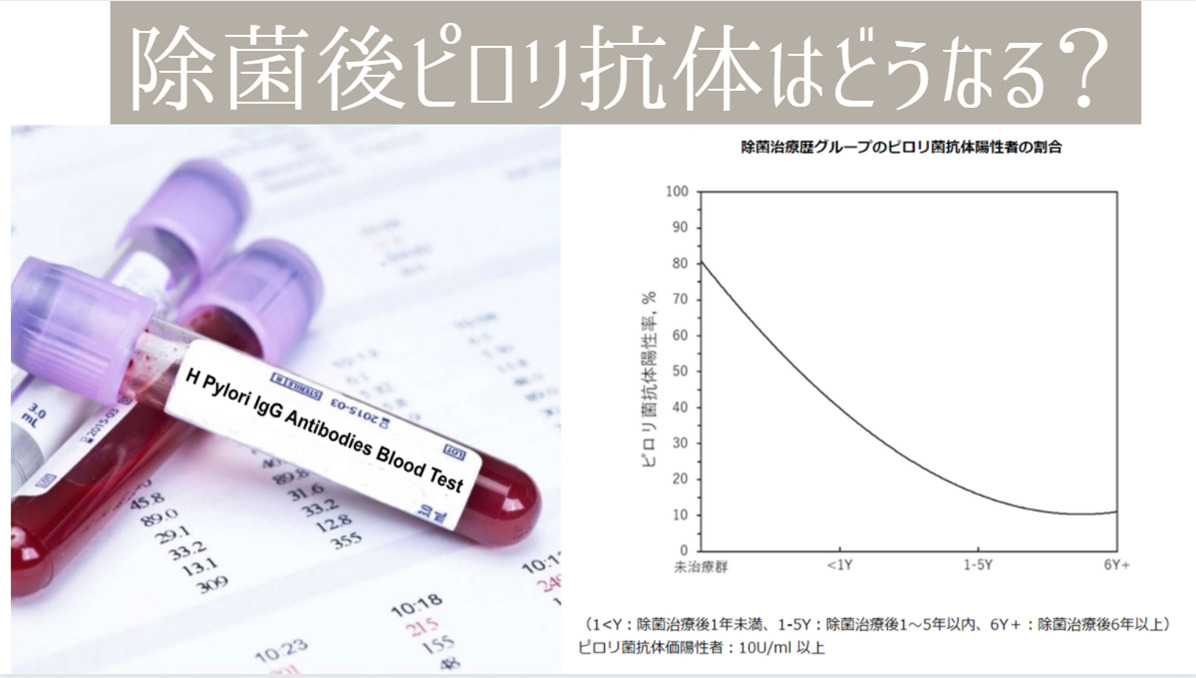除菌後のピロリ菌抗体価は下がります たまプラーザ南口胃腸内科クリニック 消化器内視鏡横浜青葉区院