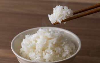 炭水化物のとりすぎに注意！どれくらいまで食べてもいいの？