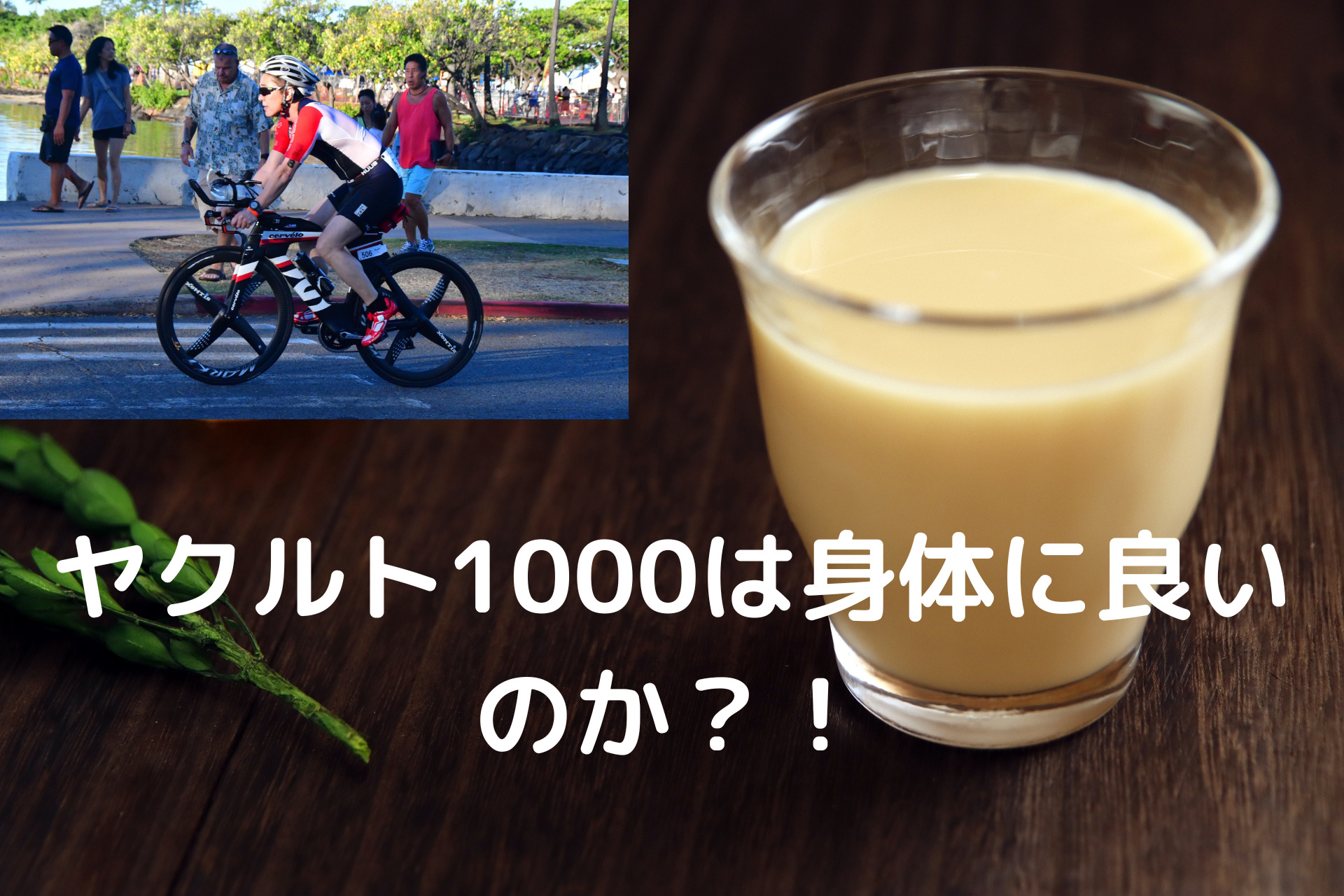 話題のヤクルト1000は大腸にとってどうなのか！？