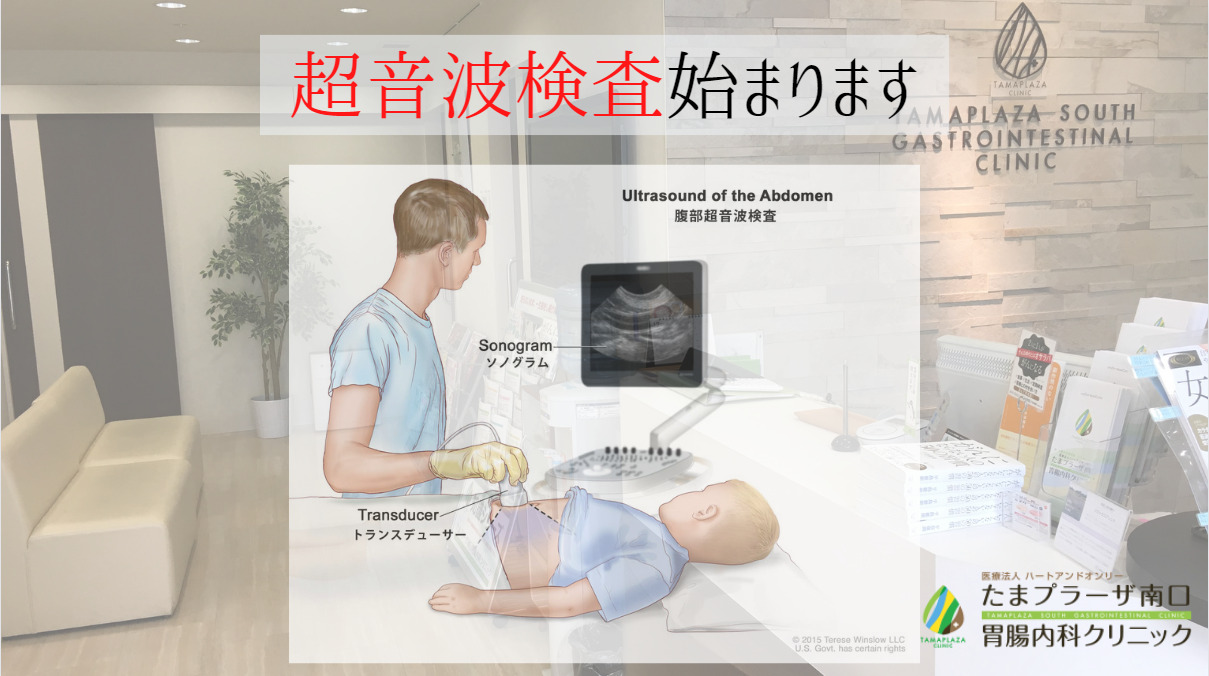 超音波検査始まります