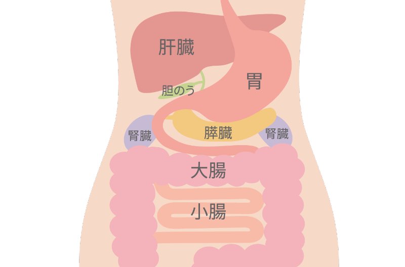 検査6時間前からの絶食をお願い致します