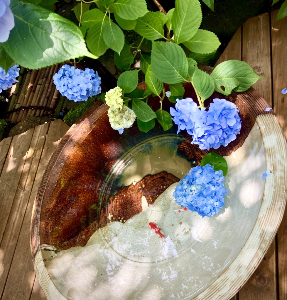 梅雨の晴れ間に