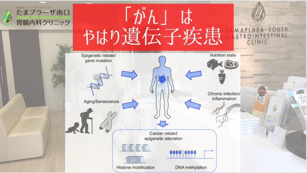 「がん」はやはり遺伝子疾患