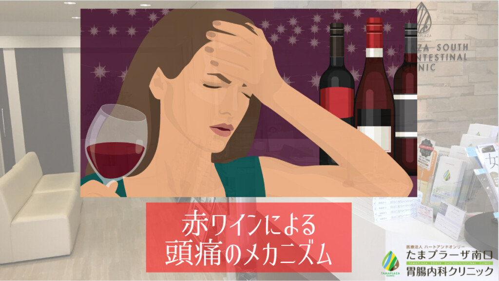 赤ワインによる頭痛のメカニズム（red wine headache） ｜たまプラーザ南口胃腸内科クリニック 消化器内視鏡横浜青葉区院