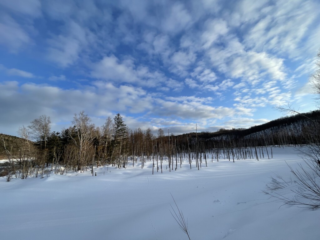 雪景色